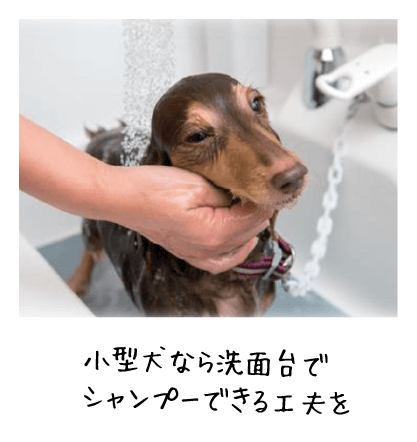 小型犬なら洗面台でシャンプーできる工夫を
