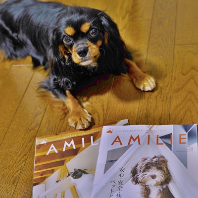 AMILIE vol.02発刊しました！
