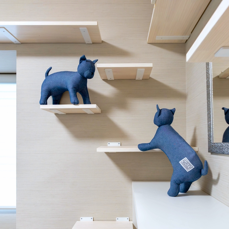 愛猫が遊べる暮らし